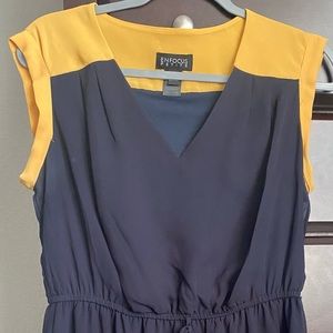 Color block dress petite